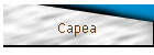 Capea