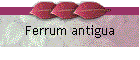 Ferrum antigua